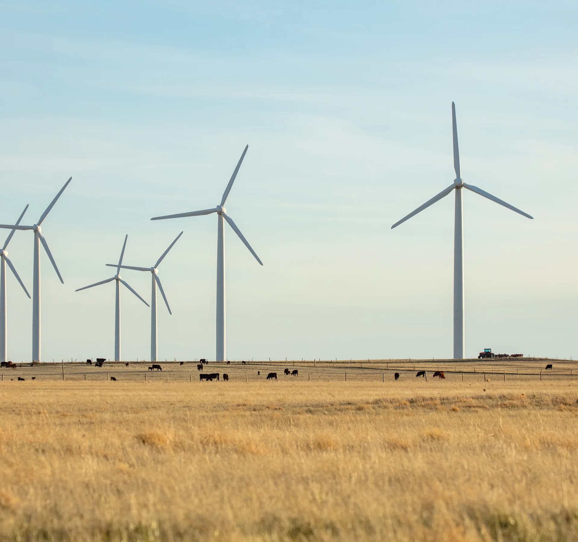 windfarm-northern-colorado 1 (1)