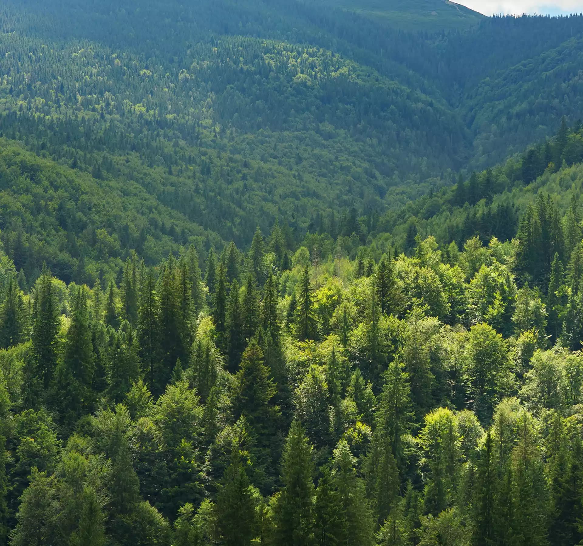 Электроника и инфраструктурные системы